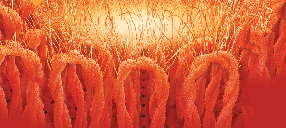 Loops heat holders loops